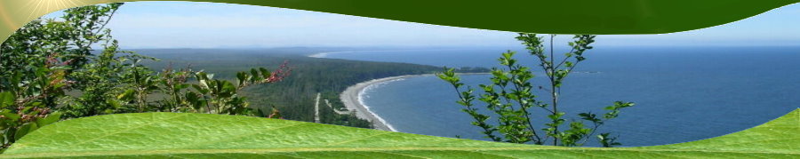 See shore, Queen Charlotte ilands, Canada